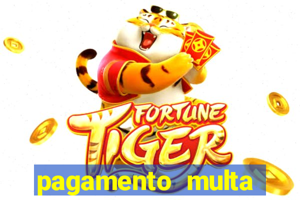 pagamento multa detran mg